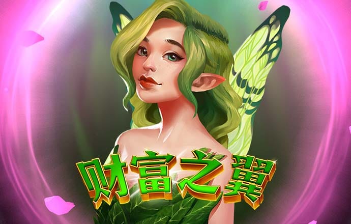 kok中欧体育是干嘛的